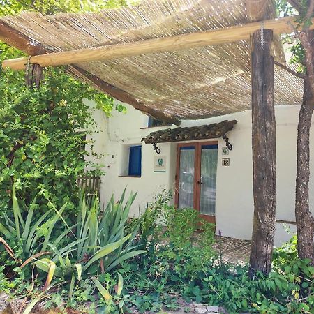 Casita Esperanza Villa Alájar Eksteriør billede